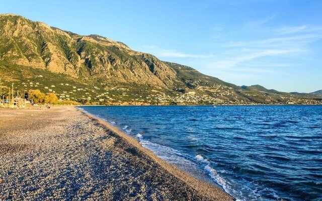 Panoramic View Near the Beach