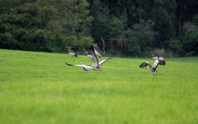 Holiday Home in Lohmen for 4 Person