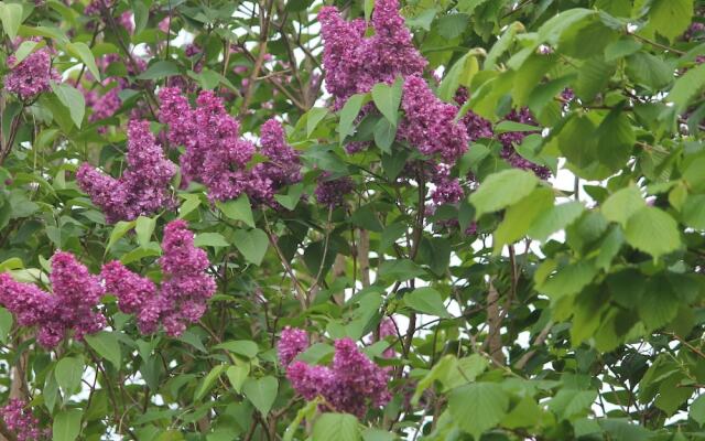 Serene Apartment in Roggow with garden seating