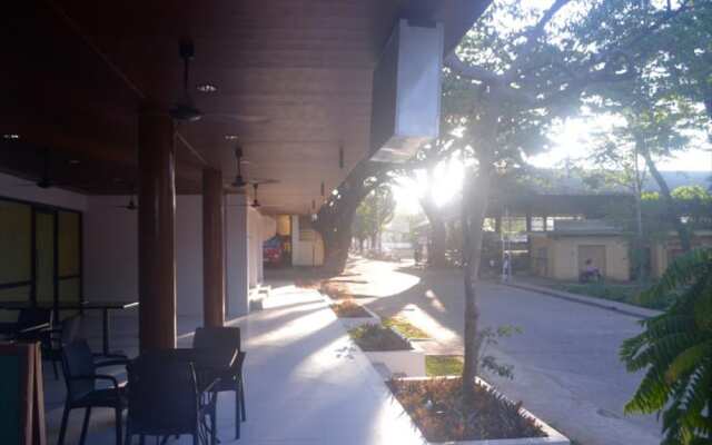 Treetop Suites