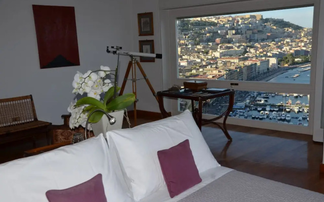 Suite 52