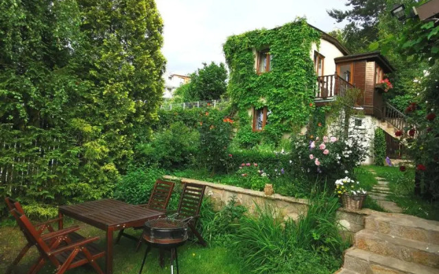 Wild Wine House