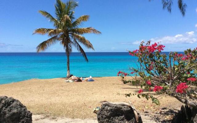 Yellow Bird Apartment