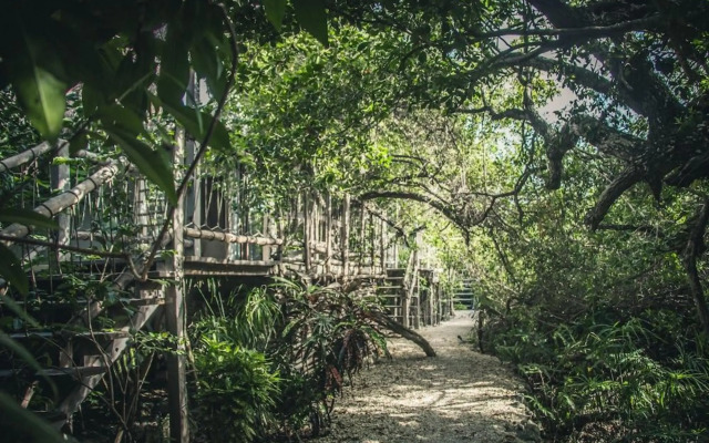 Roc Jungle Tulum