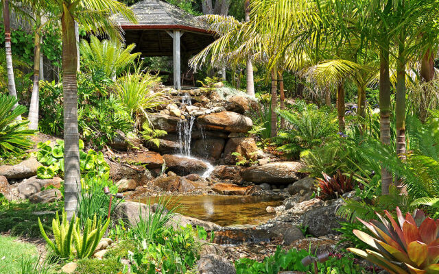 Sanctuary in the Cove