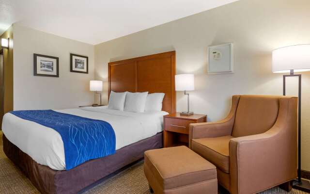 Comfort Inn South