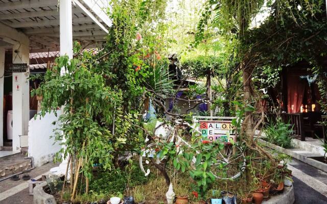 Salon de Nomad Gili T.