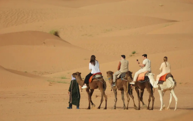 Sahara Camel Trips