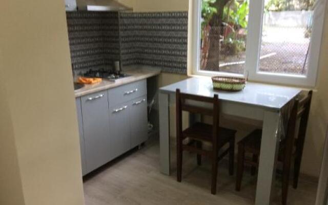 Guest house Agmashenebeli 229