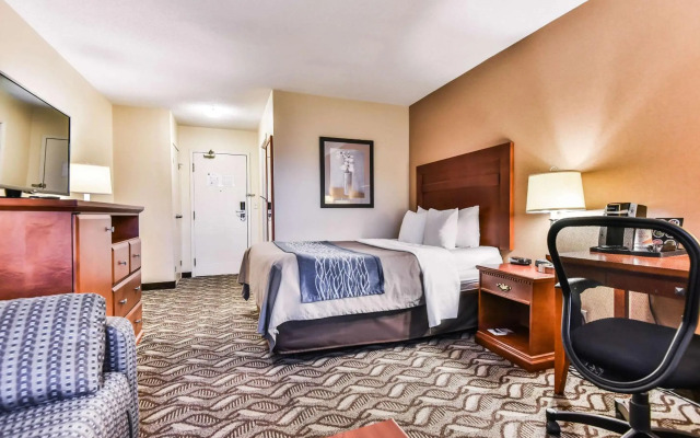 Comfort Inn & Suites Ambassador Bridge