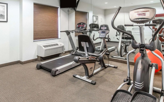Sleep Inn & Suites Bush Intercontinental - IAH East