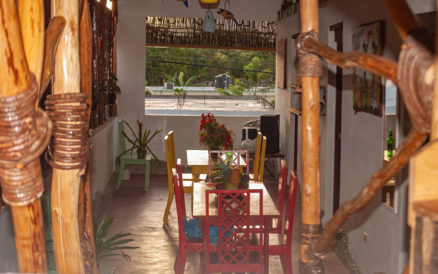 Hostel La Ballena Backpacker