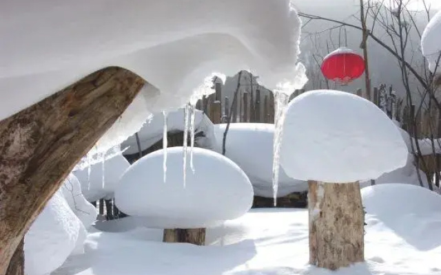 Xuexiang Zhaolaoer Family Hotel(雪乡赵老二家庭旅馆)