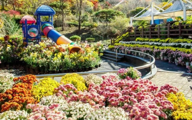 Chengyang Goun Healing Glamping