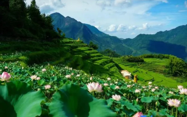 Yunyi's Courtyard Villa (Yunhe Terraced Field Scenic Area Store) – Outside – Lishui