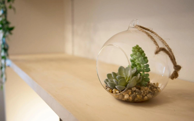 Roppongi ClassyHouse902