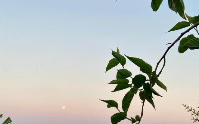 Senayablaevpansiyonculuk