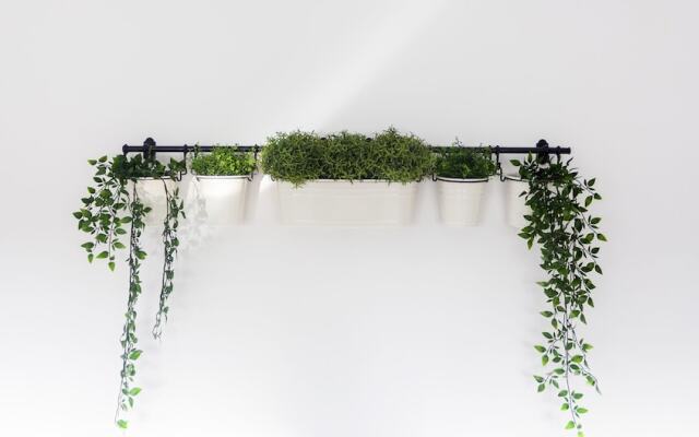 Apartamento Loft Sopranis