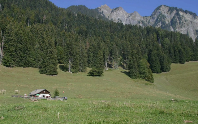 Swiss Heidi Hotel