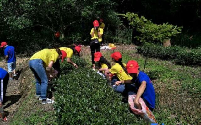Floral Luxury Tea House (Nanjing Tulou)
