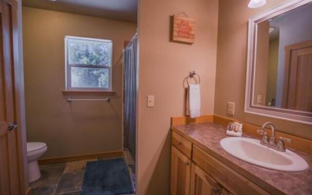 Paws in the Mountains