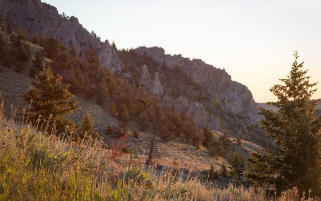 Two Bears Inn Bed & Breakfast