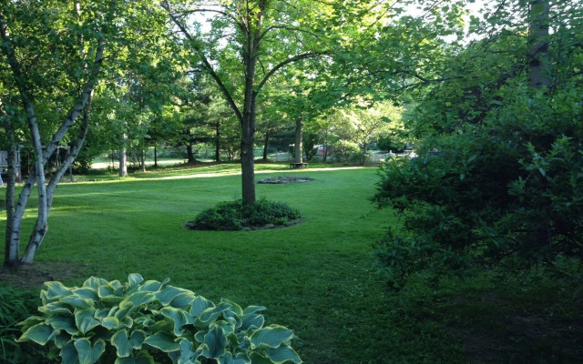 Silver Fern Bed and Breakfast