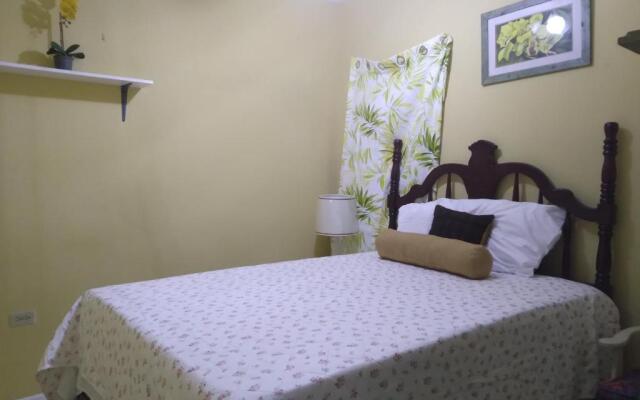 Cozy Deluxe 2BR Condo New Kingston