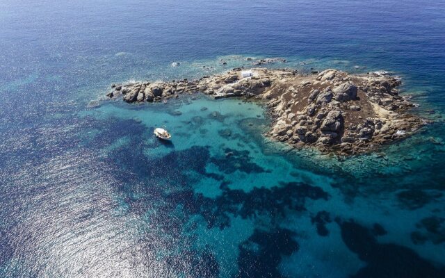 Marine Dream