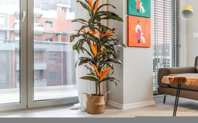 The Funky Apartment Free Parking