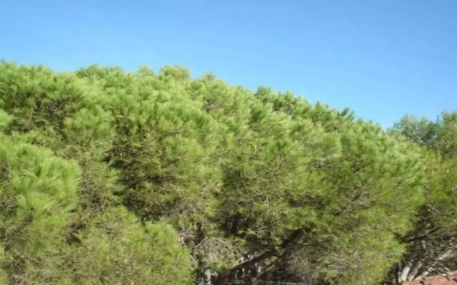 Studio in Llafranc - 104755 by MO Rentals