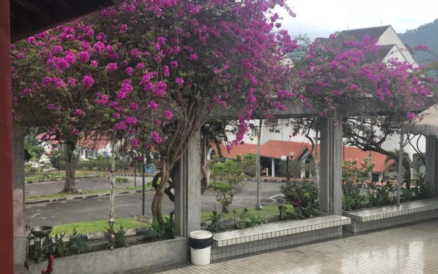ThatNicePlace at Selesa Hillhomes, Bukit Tinggi, Genting