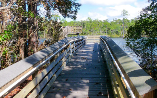 Southern Charm by RedAwning