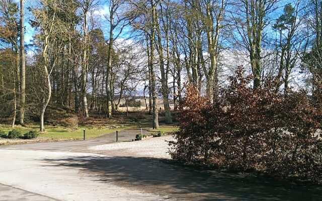 Woodcutter's Cottage