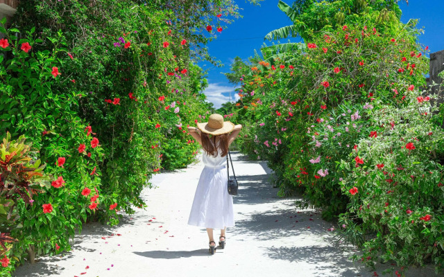Comfort Hotel Ishigaki Island