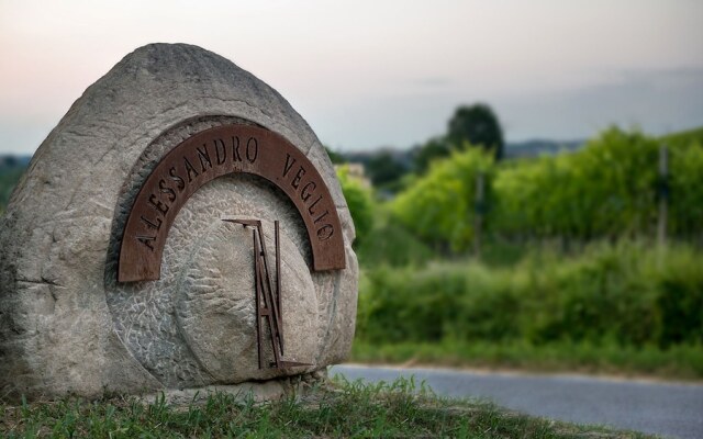 Risveglio in Langa