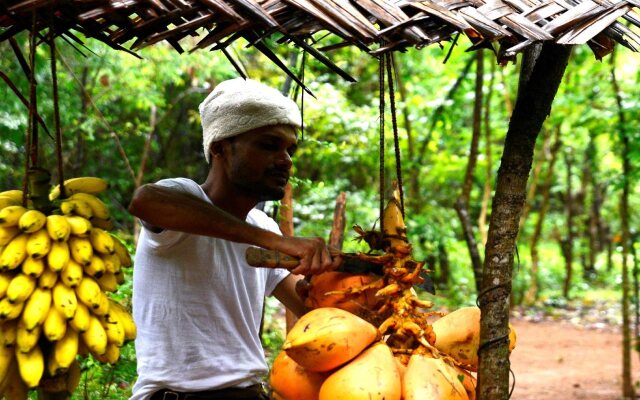 Mahagedara Wellness Retreat