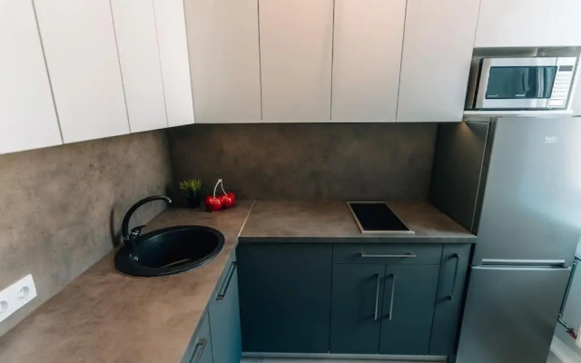 Rigas street cozy apartment, city centre