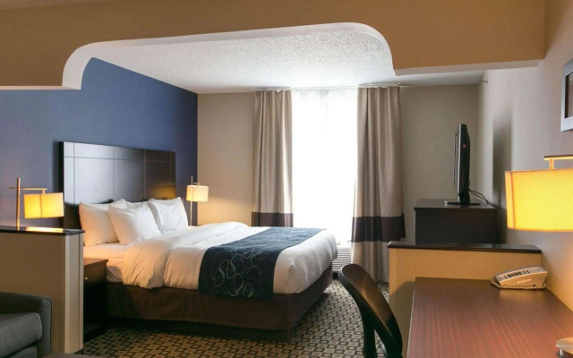 Comfort Suites Benton Harbor - St. Joseph