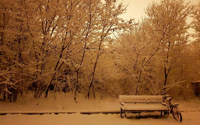 Central Station Skopje