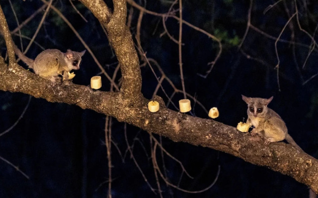 Singwe Private Safari lodge