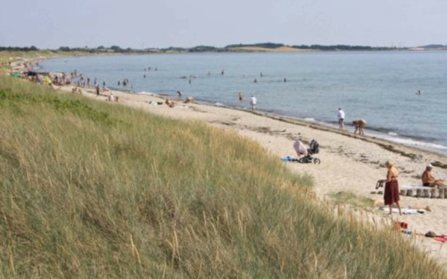 Attractive Holiday Home in Humble Denmark With Barbecue