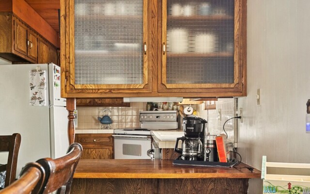 Happy Bear Cabin Hike, Bike & More!