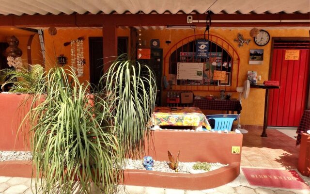 Hotelito Swiss Oasis - Adults Only