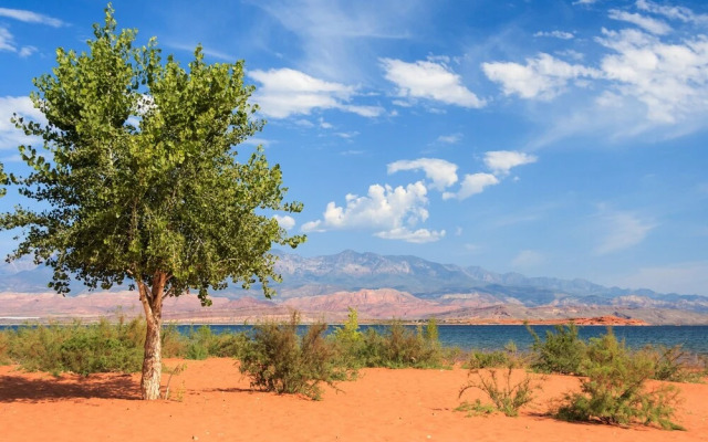 Vacation Home with easy access to bike and hiking trails by Redawning