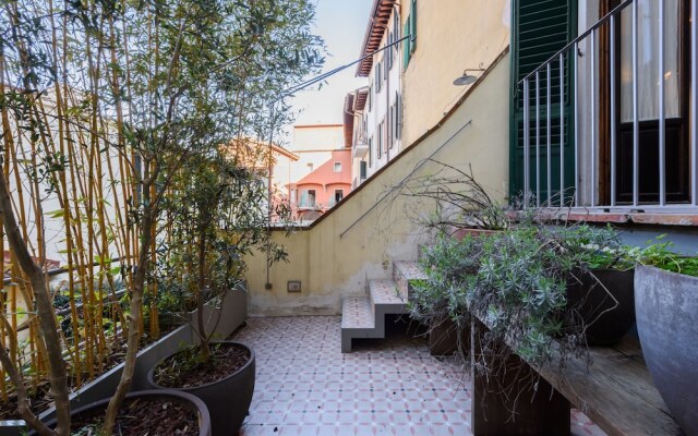 Ciompi Prestige by Mmega