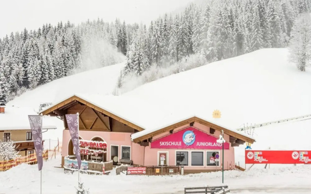 Penthouse Apartment in Wagrain Near ski Area