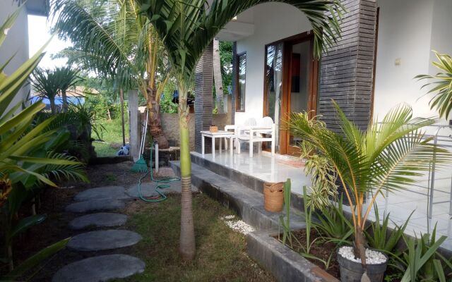 Palm Trees Villas
