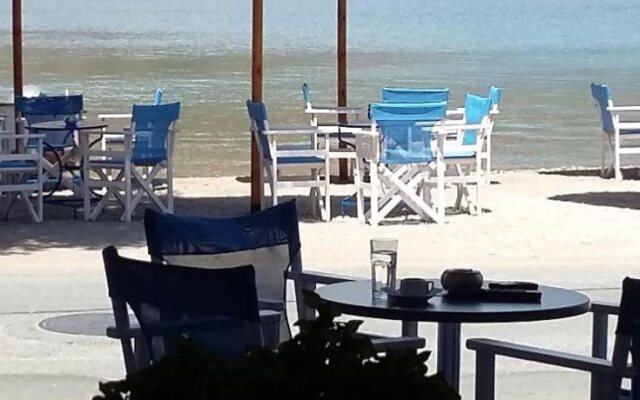 Delfini Hotel