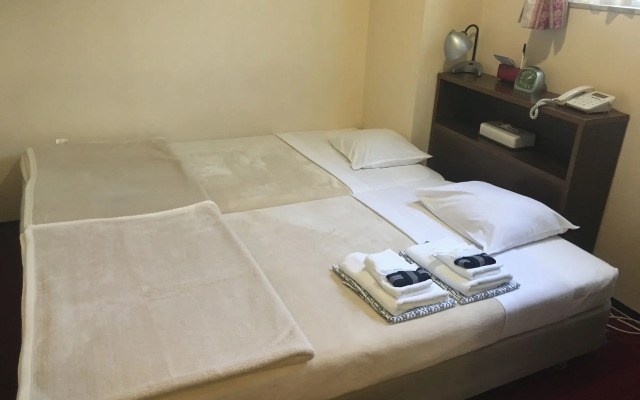 Hotel Yanagibasi - Hostel